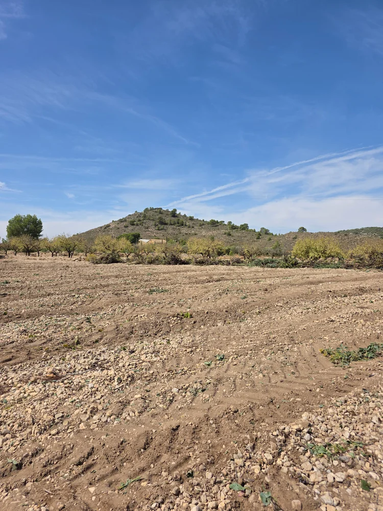 Terreno acondicionado y nivelado