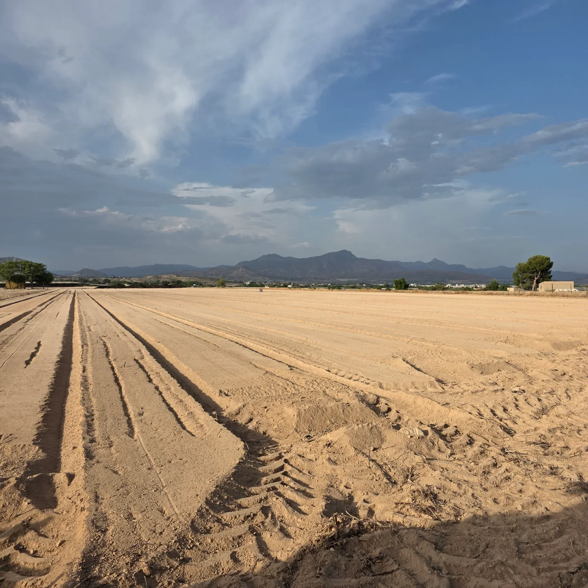 Terreno acondicionado, libre de piedras y listo para cultivo