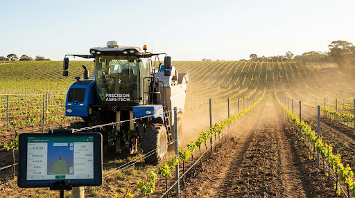 Plantación de viñedo con guiado RTK